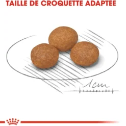 Royal Canin X-Small Adult 8+ - croquettes chien