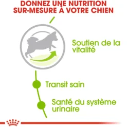 Royal Canin X-Small Adult 8+ - croquettes chien