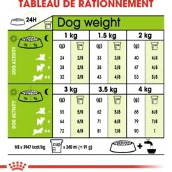 Royal Canin X-Small Ageing 12