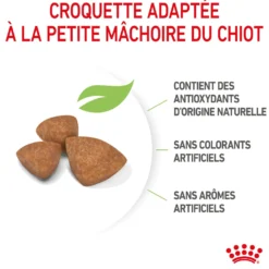 Royal Canin X-Small Puppy - croquettes chiot