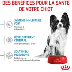 Royal Canin X-Small Puppy - croquettes chiot