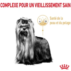 Royal Canin Yorkshire Terrier Adult 8+ - Croquettes pour chien