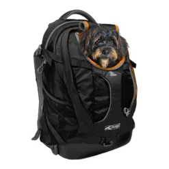 Sac à dos G-Train K9 chat, chien