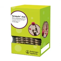 Seraquin chat