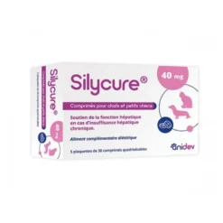 Silycure chat, petit chien