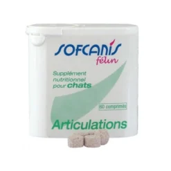 Sofcanis félin Articulations chat