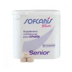 Sofcanis félin senior chat