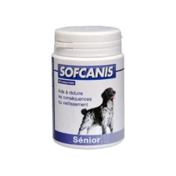 Sofcanis Sénior chien
