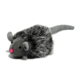 Souris couinante chat