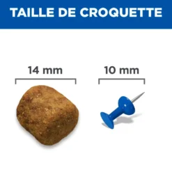 Sp Chien Adulte 1-5 Large Lambrice