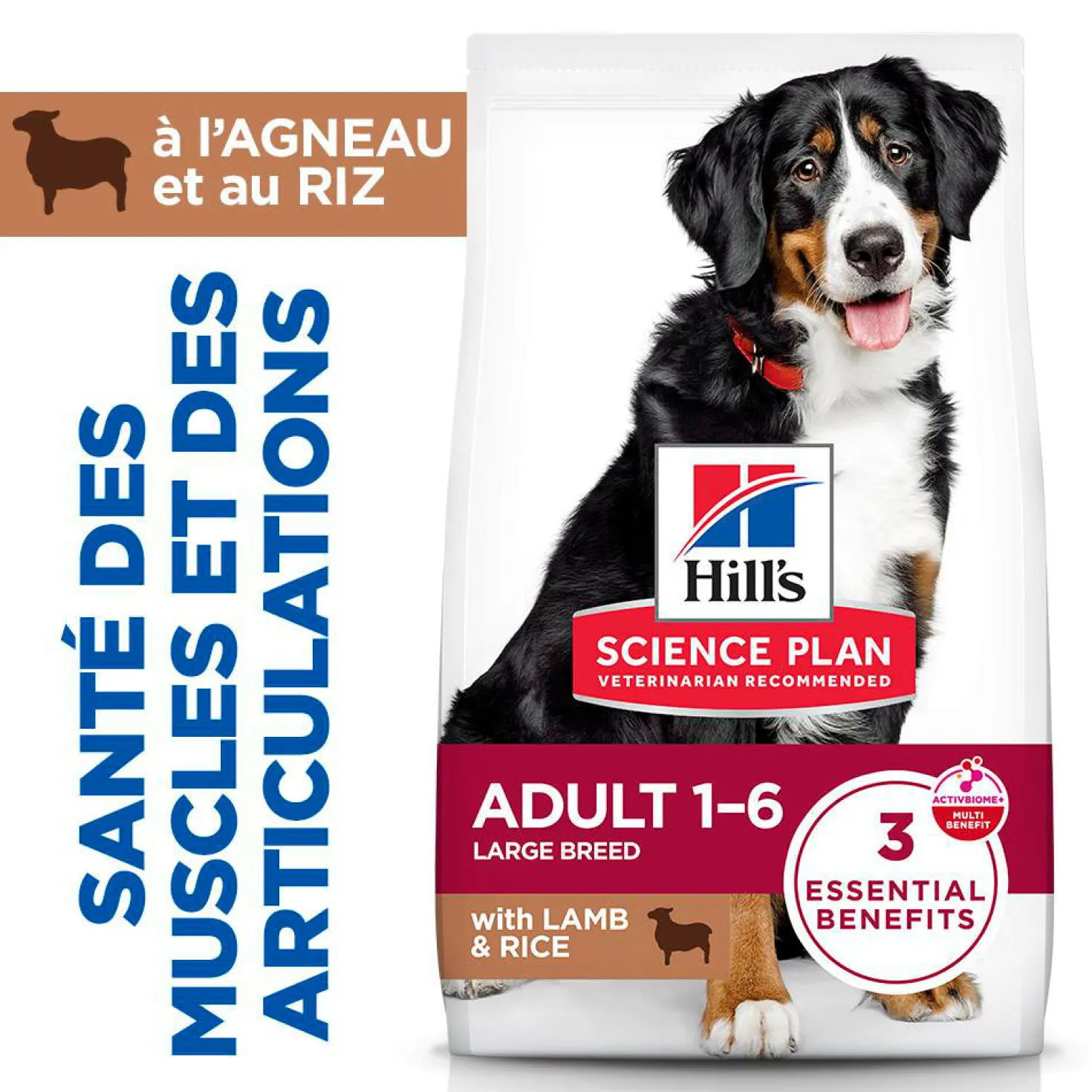 Sp Chien Adulte 1-5 Large Lambrice