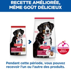 Sp Chien Adulte 1-5 Large Lambrice