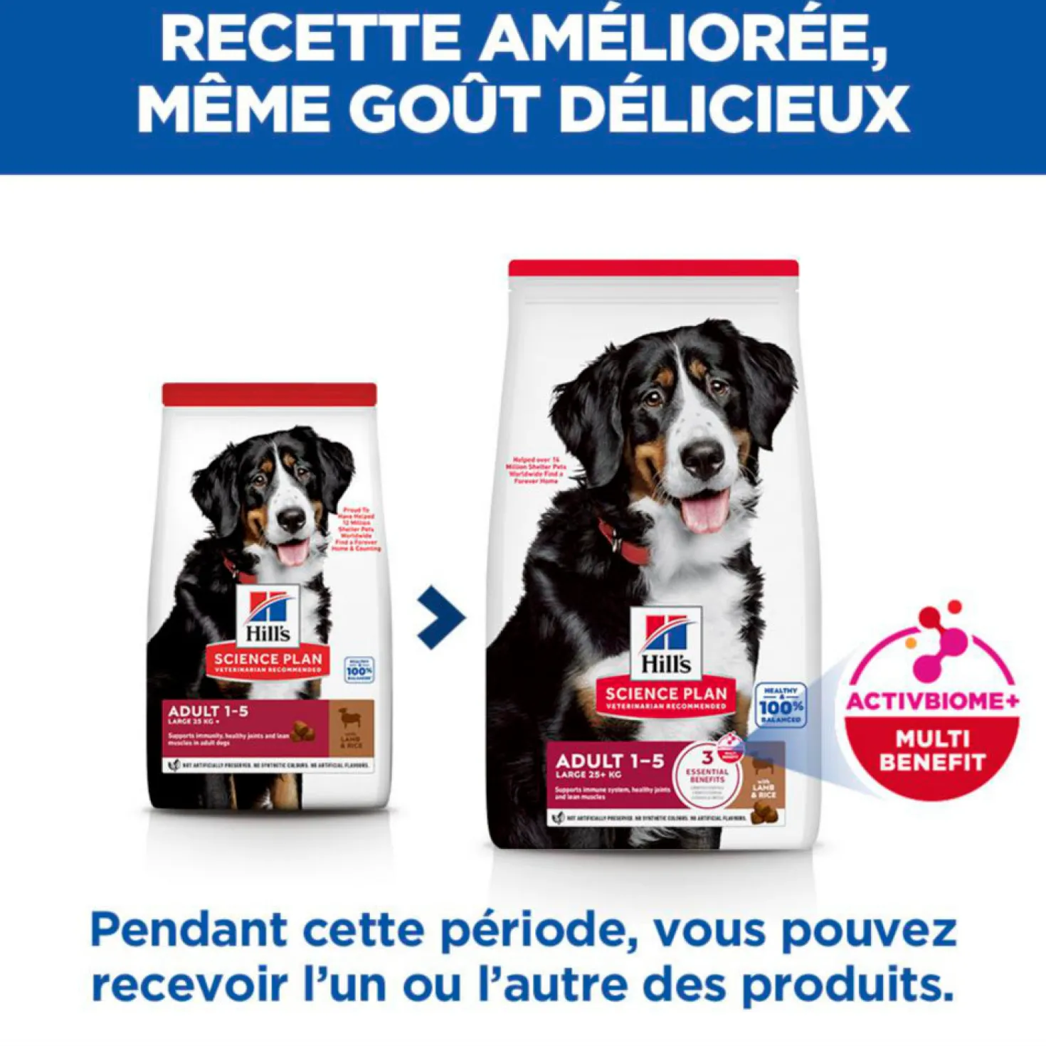 Sp Chien Adulte 1-5 Large Lambrice