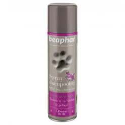 Spray shampooing sec chien, chat