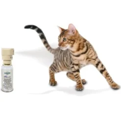 Spray Ssscat chat, chien