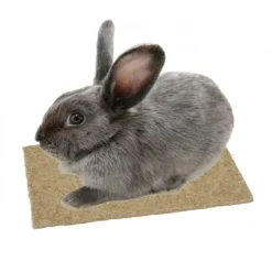 Tapis de chanvre