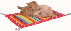 Tapis de jeu pour chat