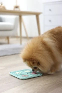 Tapis à lécher turquoise chien, chat