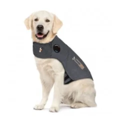 Thundershirt gilet relaxant chien