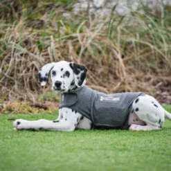 Thundershirt gilet relaxant chien