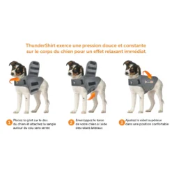 Thundershirt gilet relaxant chien