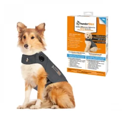 Thundershirt gilet relaxant chien