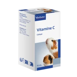 Vitamine C cobaye