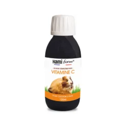 Vitamine C cochon d'Inde