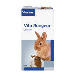 Vita Rongeur lapin, rongeur