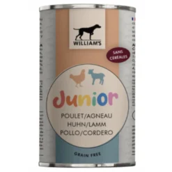William's Junior Chien
