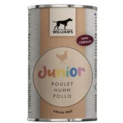 William's Junior Chien