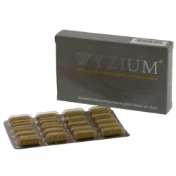 Wyzium chien, chat