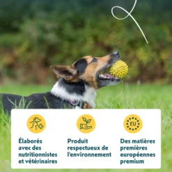 Yarrah bio petite race - croquettes chien
