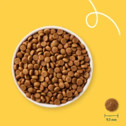 Yarrah bio petite race - croquettes chien