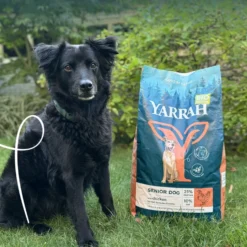 Yarrah Bio senior - croquettes chien