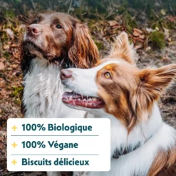 Yarrah biscuits bio végétarien pour petit chien