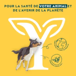 Yarrah biscuits bio végétarien pour petit chien