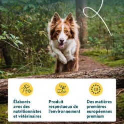 Yarrah biscuits bio végétarien pour petit chien
