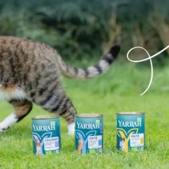 Yarrah bouchées bio - pâtée chat