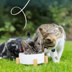 Yarrah bouchées bio sans céréales - pâtée chat