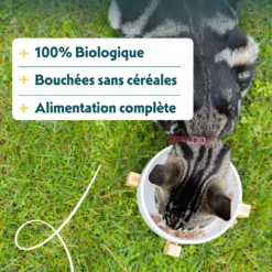 Yarrah bouchées bio sans céréales - pâtée chat