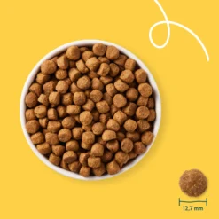 Yarrah croquettes bio chien