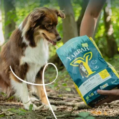 Yarrah croquettes bio chien