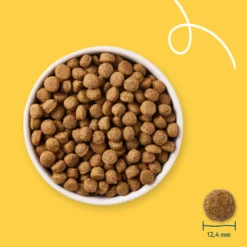Yarrah croquettes bio pour chien sensible