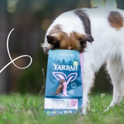 Yarrah croquettes bio pour chien sensible