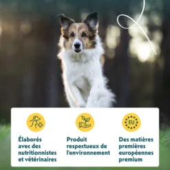 Yarrah croquettes bio pour chien sensible