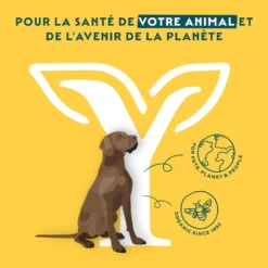 Yarrah croquettes bio pour chien sensible