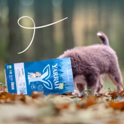 Yarrah croquettes bio pour chiot