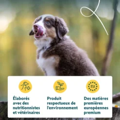 Yarrah croquettes bio pour chiot