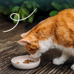 Yarrah croquettes bio sans céréales pour chat adulte